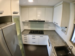 Amaryllis Ville (D11), Condominium #172823132